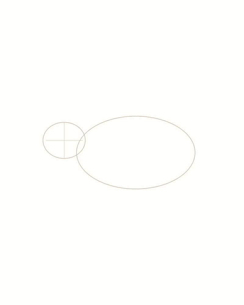 Step 2 : Outline the Body for an armadillo