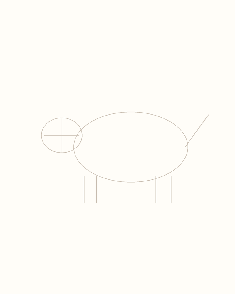 Step 3 : Add Guidelines for the Features for an armadillo