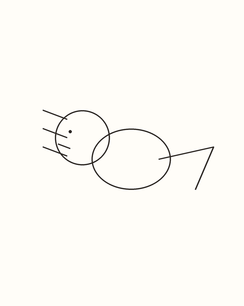 Step 6 : Refine the Whole Animal for an axolotl