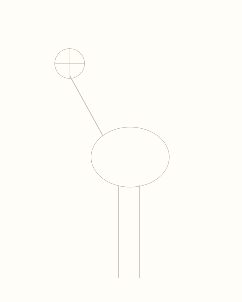 Step 3 : Add Guidelines for the Features for an ostrich