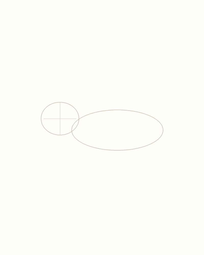 Step 2 : Outline the Body for an otter