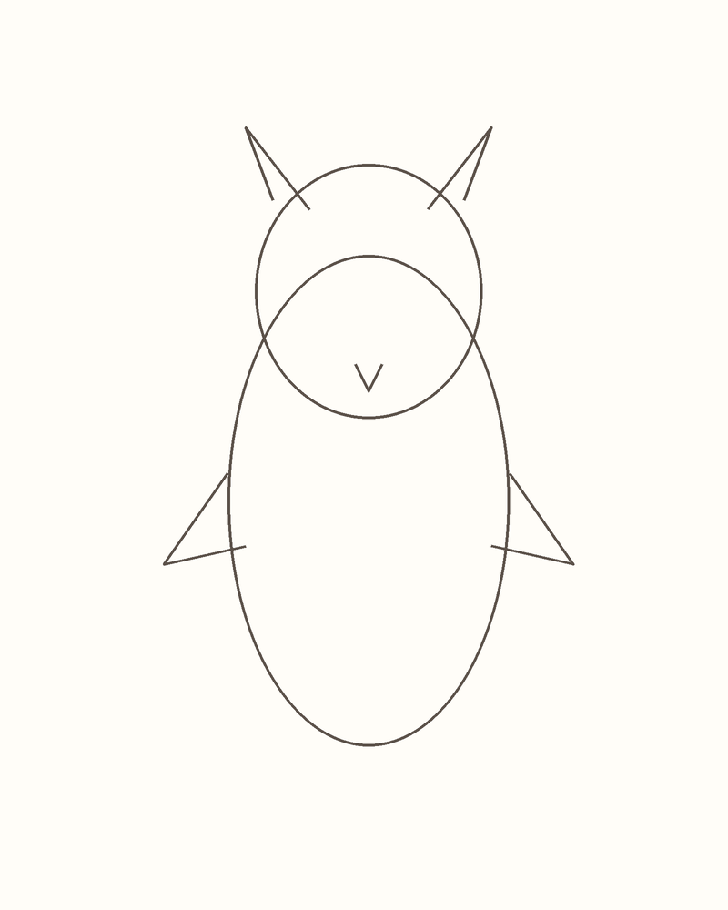 Step 4 : Draw the Basic Shapes for an owl