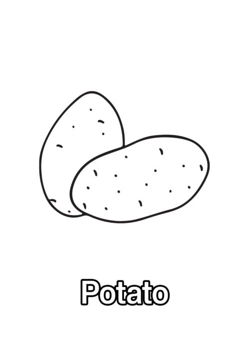 Potato Coloring Page For Kids – Free Activity PDF Download