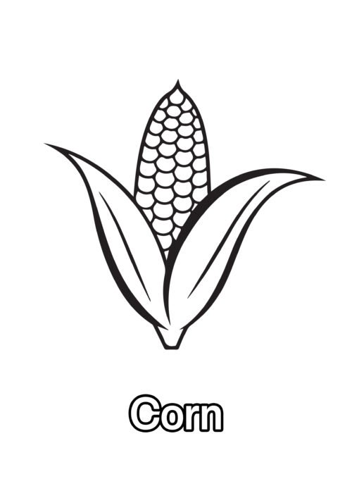 Corn Coloring Page For Kids – Free Activity PDF Download