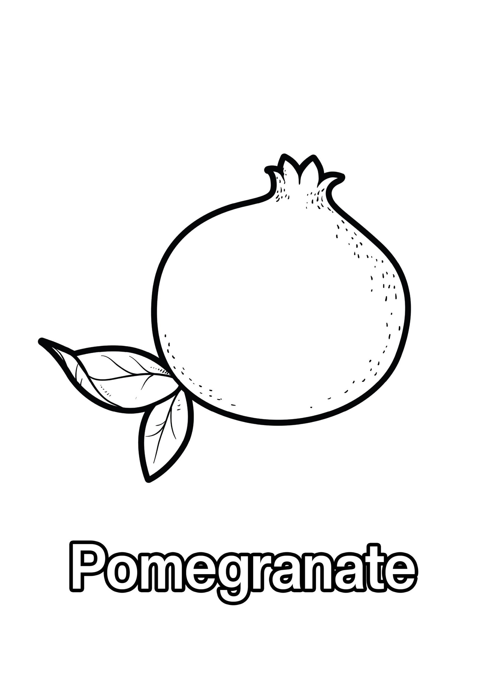 Pomegranate Coloring Page For Kids - Free Activity PDF Download
