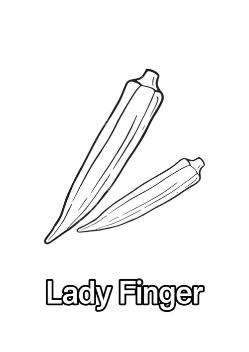 Lady Finger Coloring Page For Kids – Free Activity PDF Download