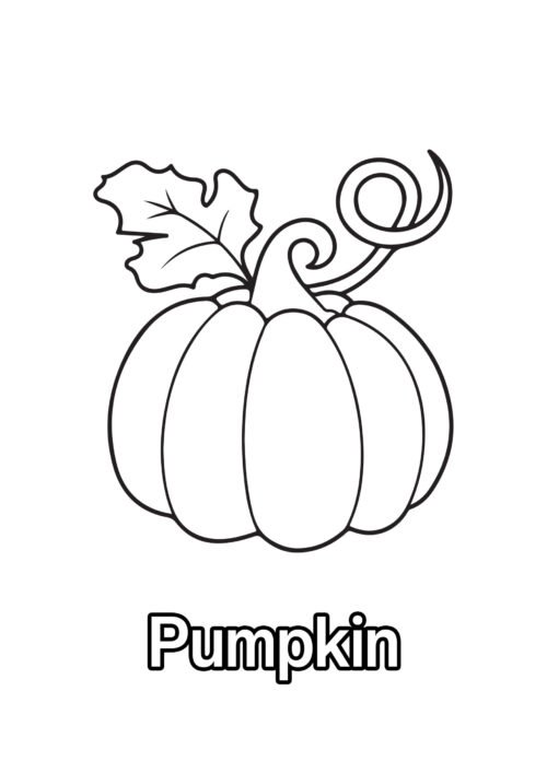 Pumpkin Coloring Page For Kids – Free Activity PDF Download
