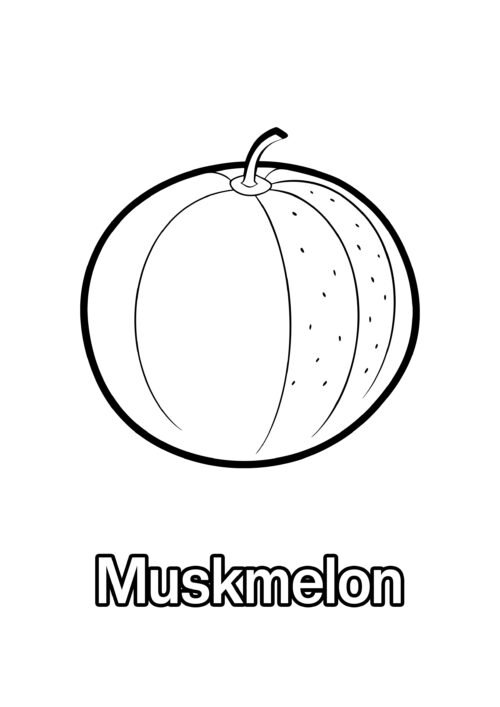Muskmelon Coloring Page For Kids - Free Activity PDF Download