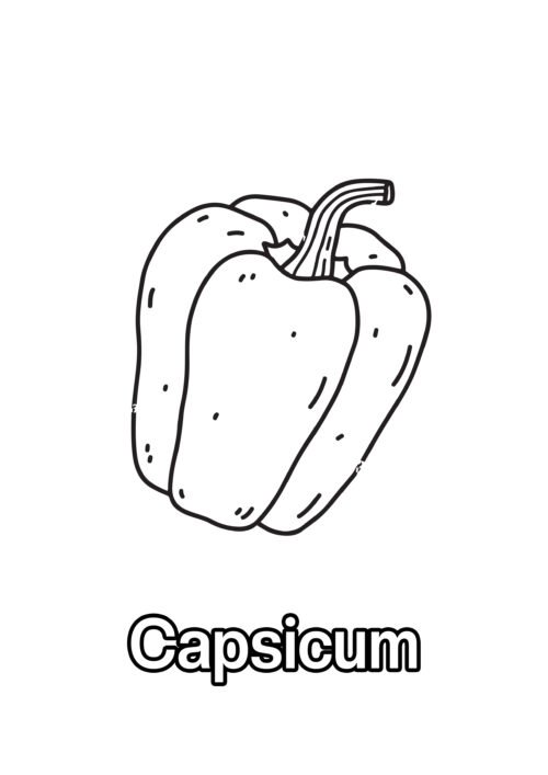 Capsicum Coloring Page For Kids – Free Activity PDF Download