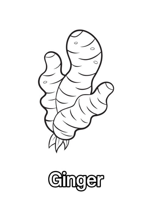 Ginger Coloring Page For Kids – Free Activity PDF Download