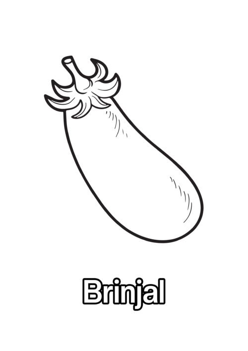 Brinjal Coloring Page For Kids – Free Activity PDF Download