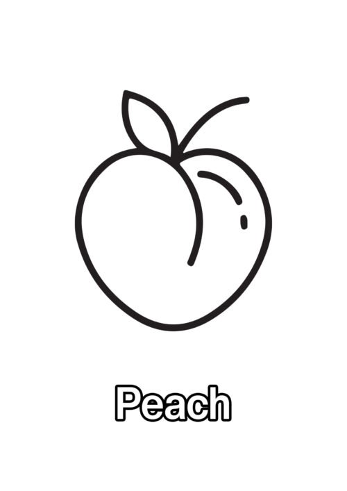 Peach Coloring Page For Kids - Free Activity PDF Download