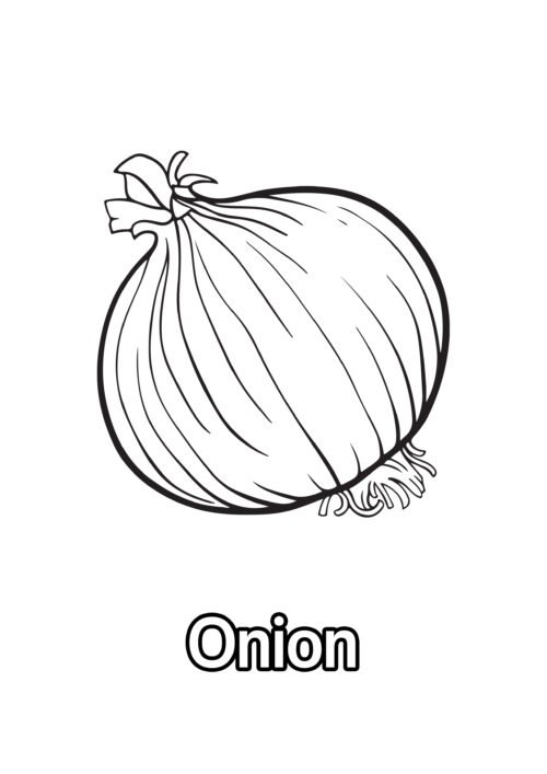 Onion Coloring Page For Kids – Free Activity PDF Download