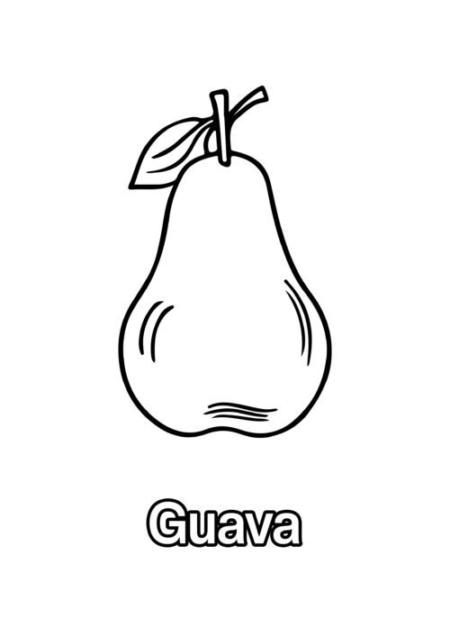 Guava Coloring Page For Kids - Free Activity PDF Download