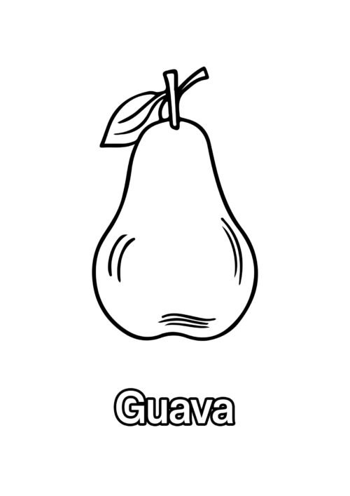 Guava Coloring Page For Kids - Free Activity PDF Download