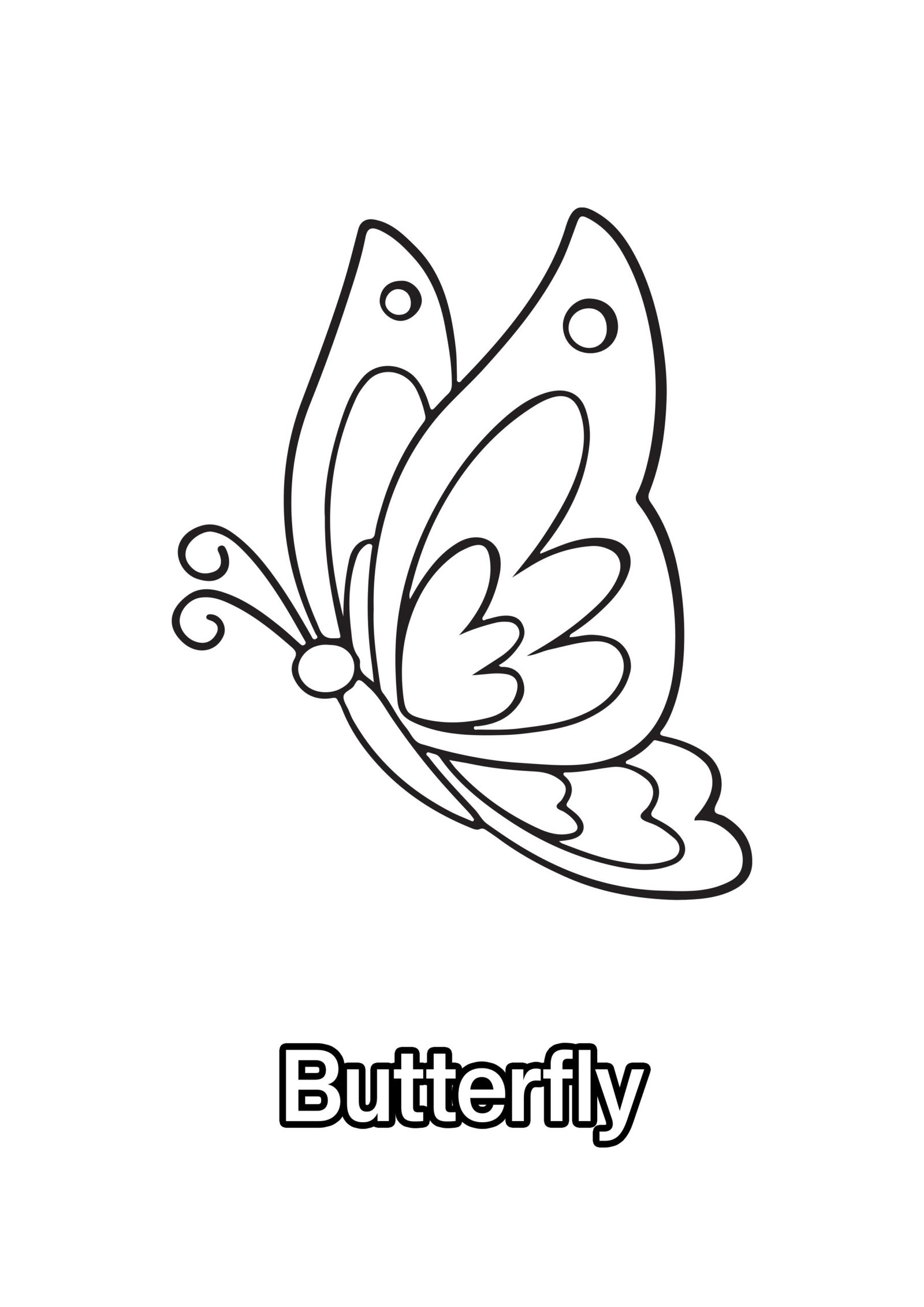 Beautiful Butterfly Coloring Page For Kids – Free Activity PDF Download