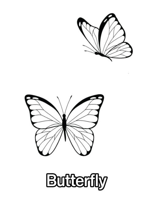 Beautiful Pattern Butterfly Coloring Page For Kids – Free Activity PDF Download