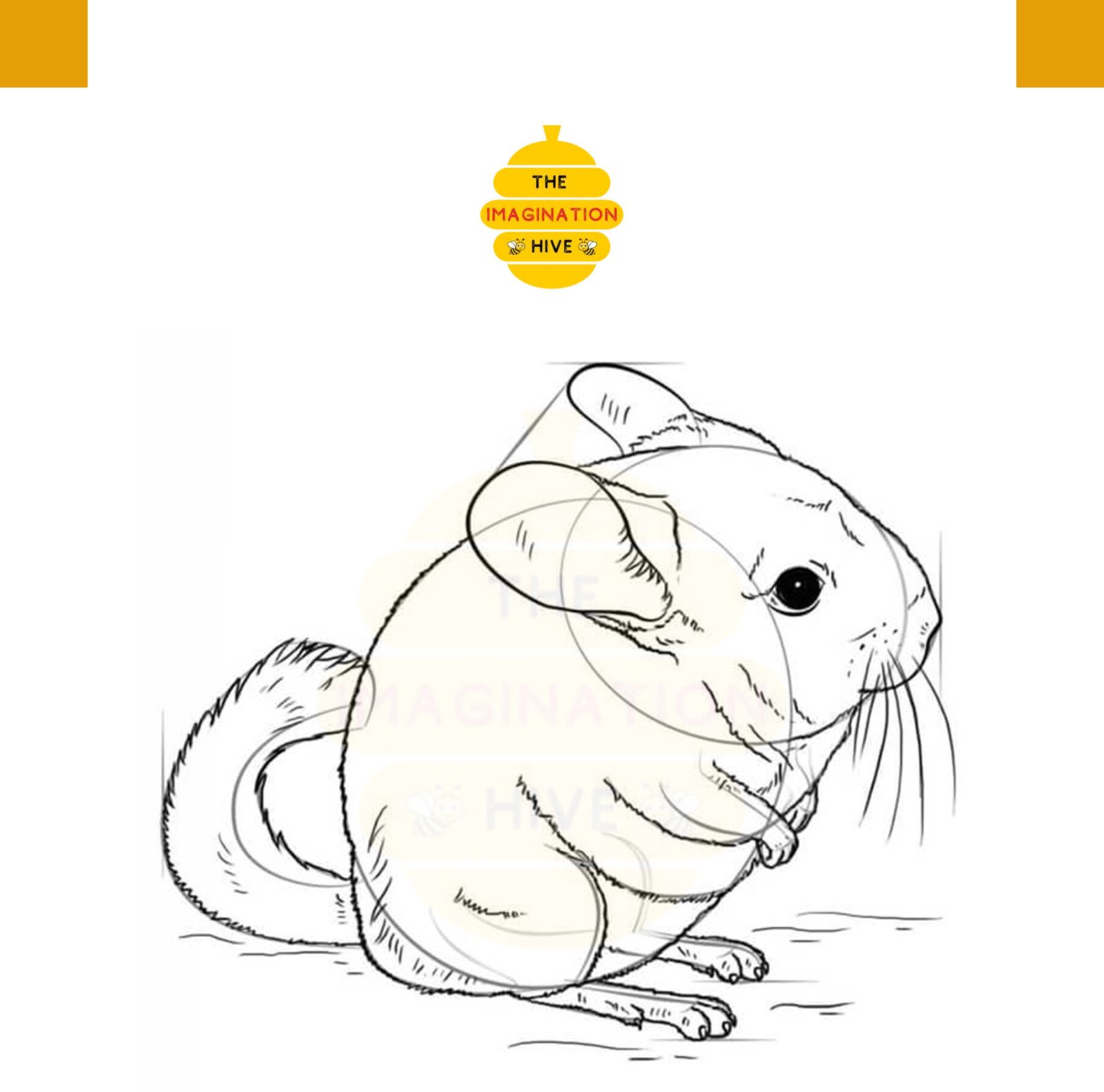 How to Draw a Chinchilla