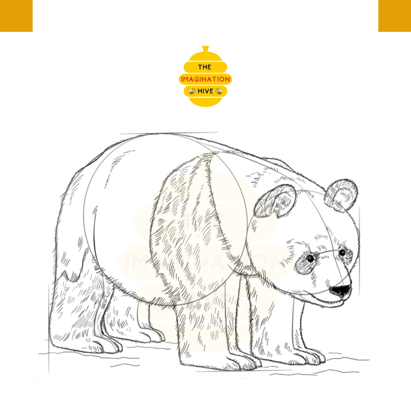 Step 8 for how to draw a panda