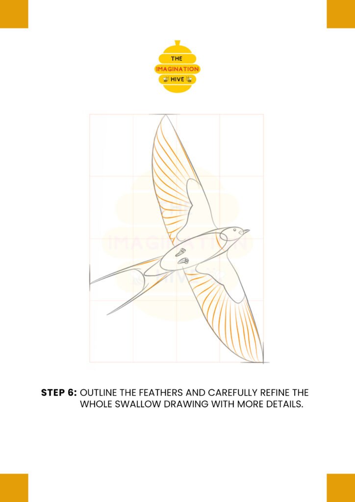 How to Draw Barn Swallow Step 6