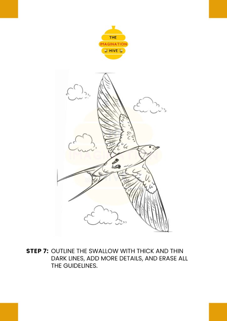 How to Draw Barn Swallow Final Step