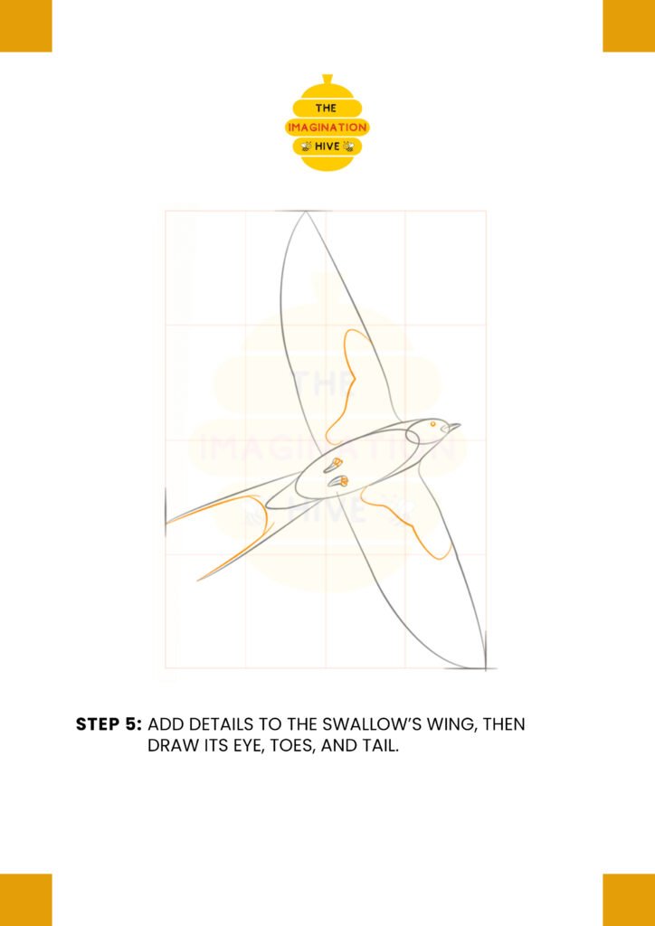 How to Draw Barn Swallow Step 5