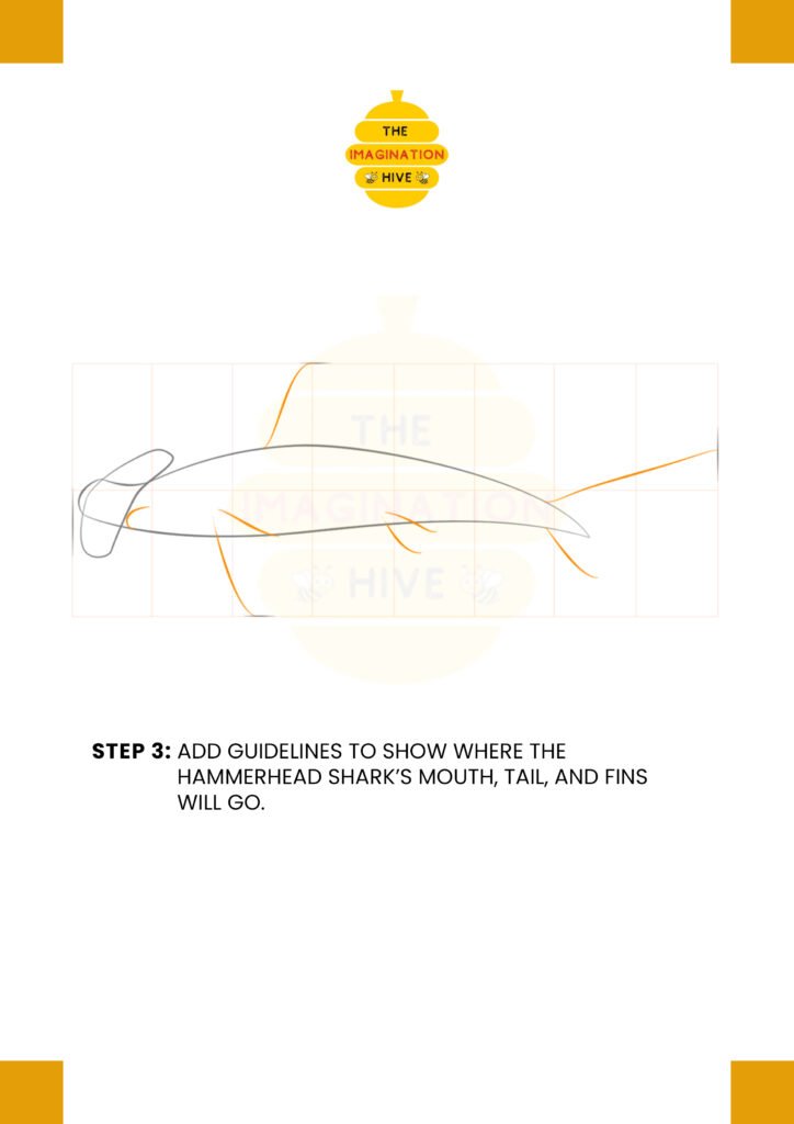 How to Draw Hammerhead Shark Step 3