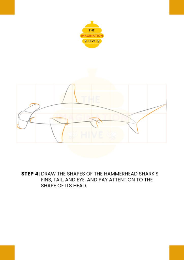How to Draw Hammerhead Shark Step 4