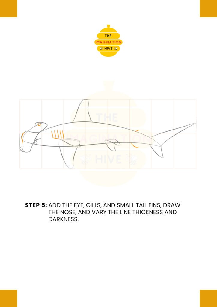 How to Draw Hammerhead Shark Step 5