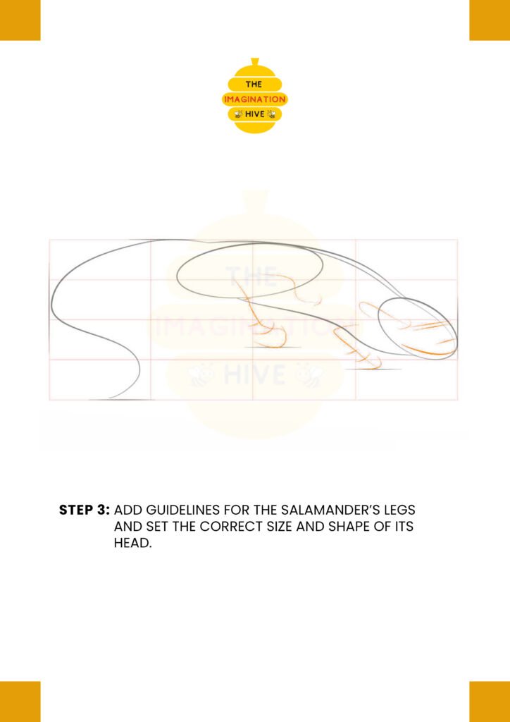 How to Draw a Salamander Step 3