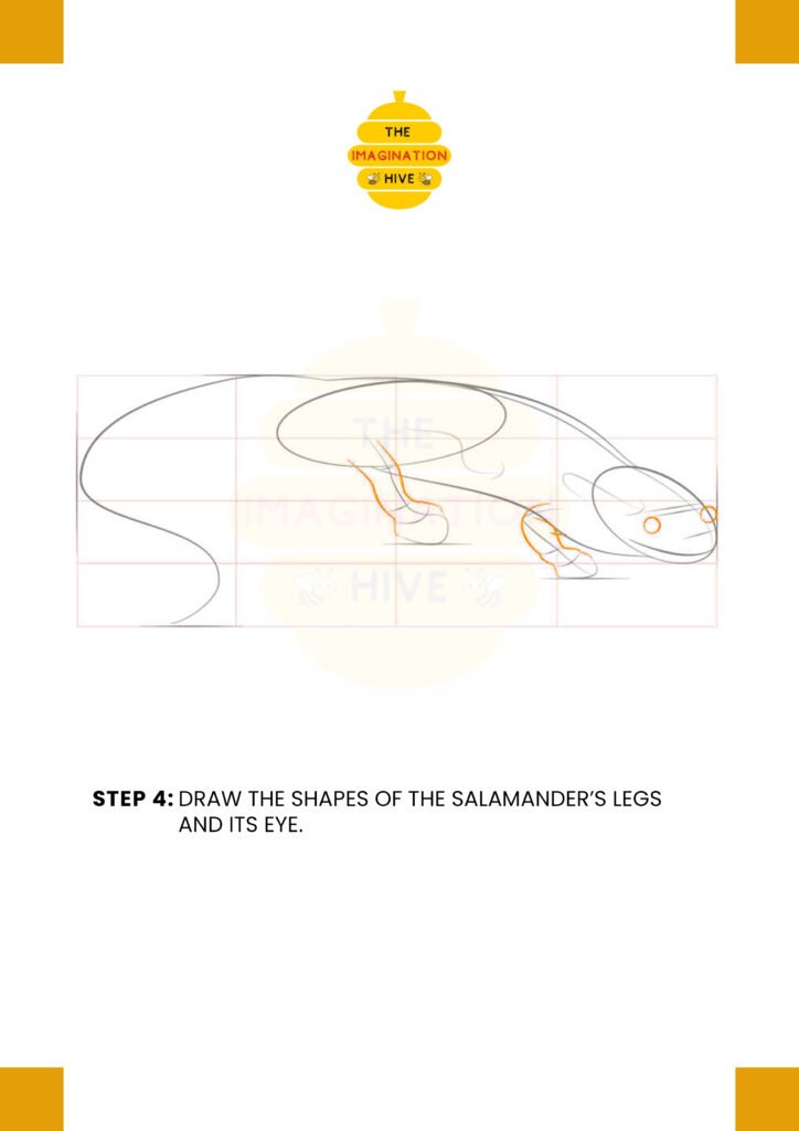 How to Draw a Salamander Step 4