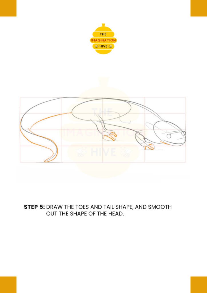 How to Draw a Salamander Step 5