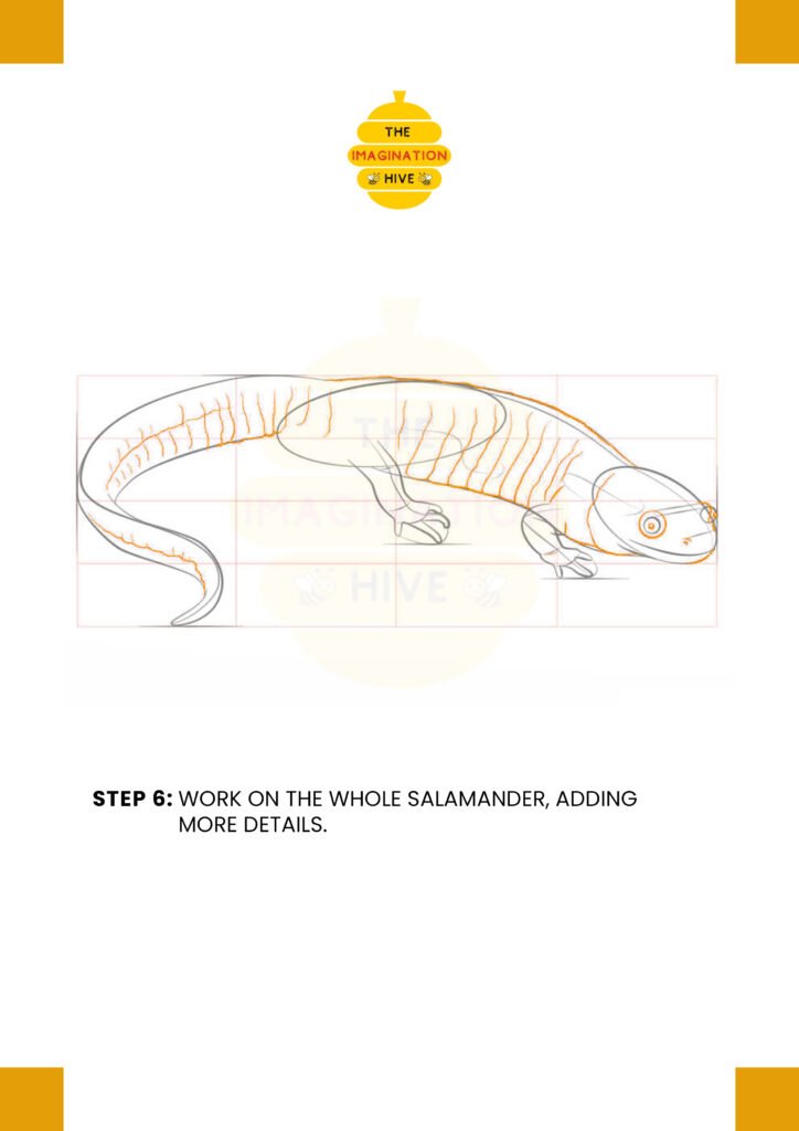 How to Draw a Salamander Step 6