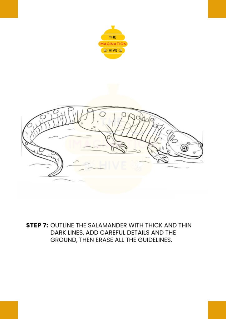 How to Draw a Salamander Step 7