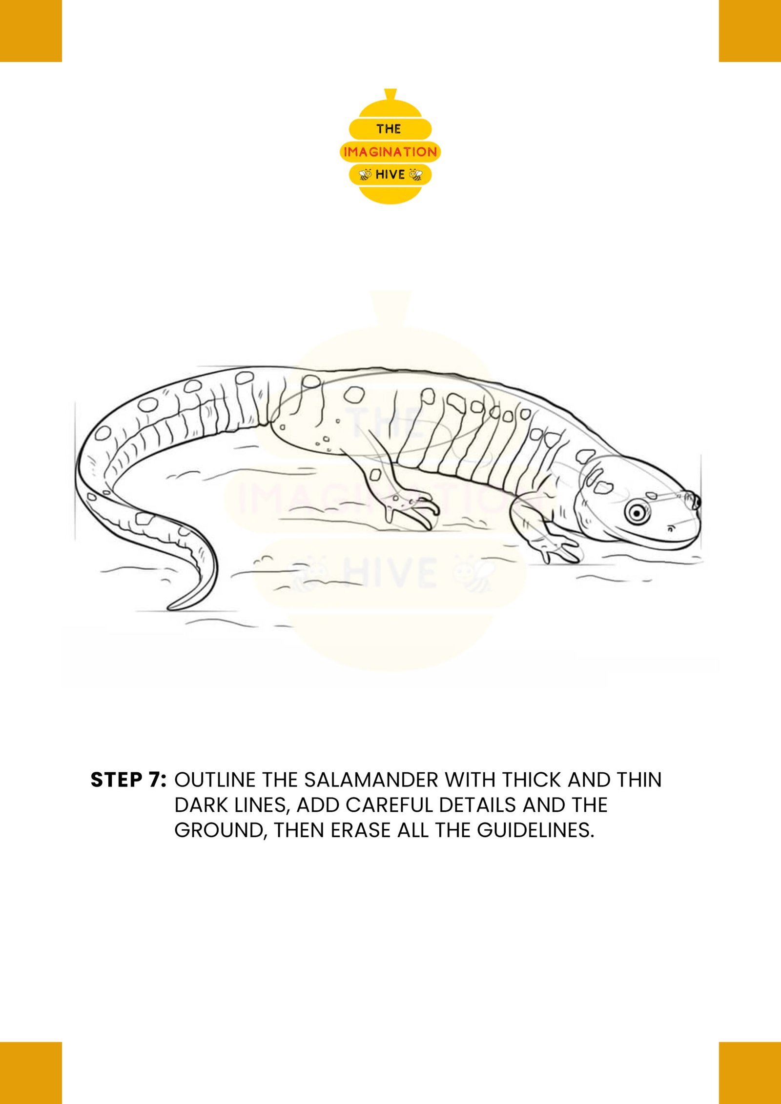 How to Draw a Salamander Step 7