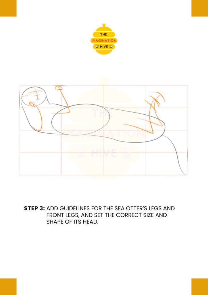 How to Draw a Sea Otter Step 3