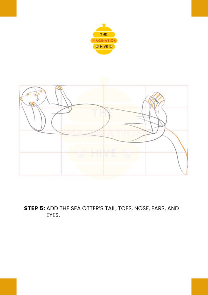 How to Draw a Sea Otter Step 5