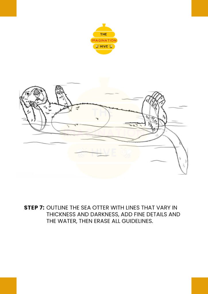 How to Draw a Sea Otter Step 7