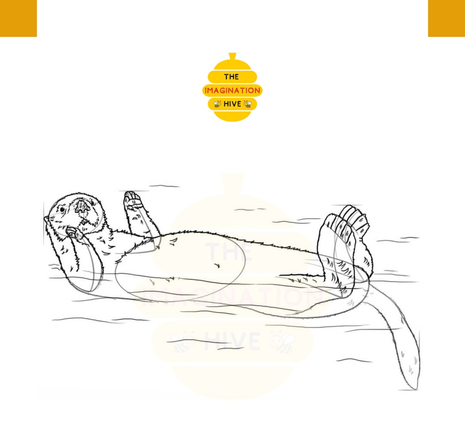 How to Draw a Sea Otter Step 7
