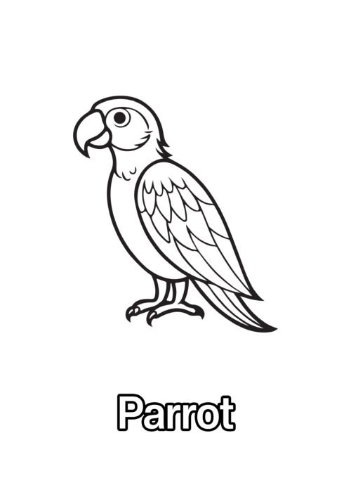 Parrot Coloring Page For Kids – Free Activity PDF Download