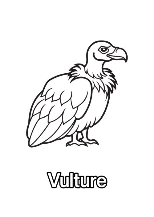 Vulture Coloring Page For Kids – Free Activity PDF Download