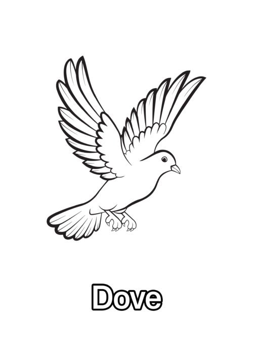 Dove Coloring Page For Kids – Free Activity PDF Download