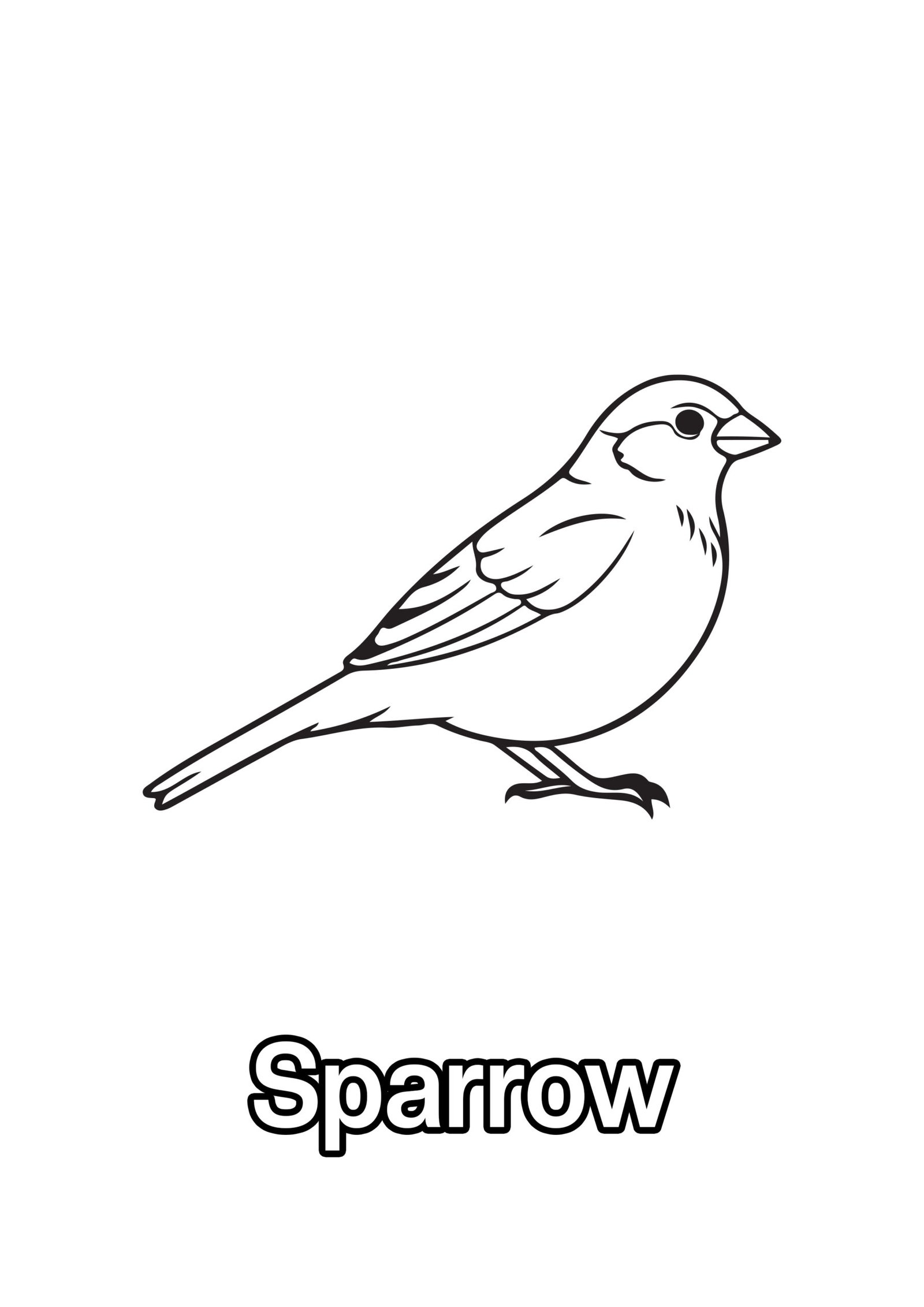 Sparrow Coloring Page For Kids – Free Activity PDF Download