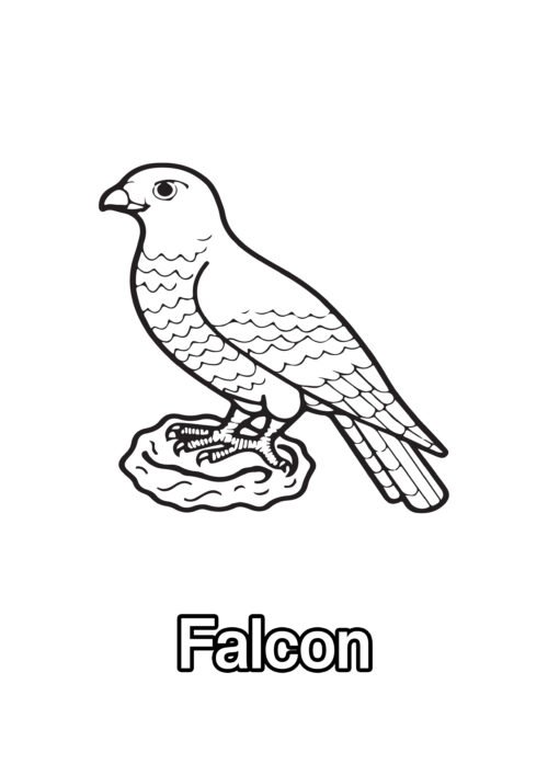 Falcon Coloring Page For Kids – Free Activity PDF Download