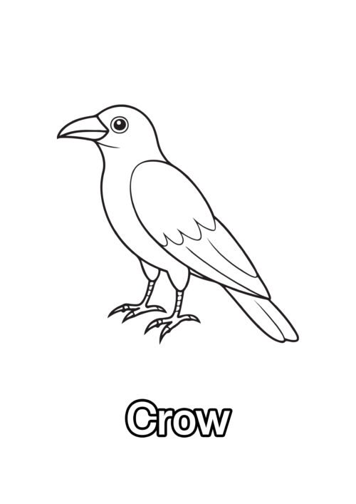 Crow Coloring Page For Kids – Free Activity PDF Download