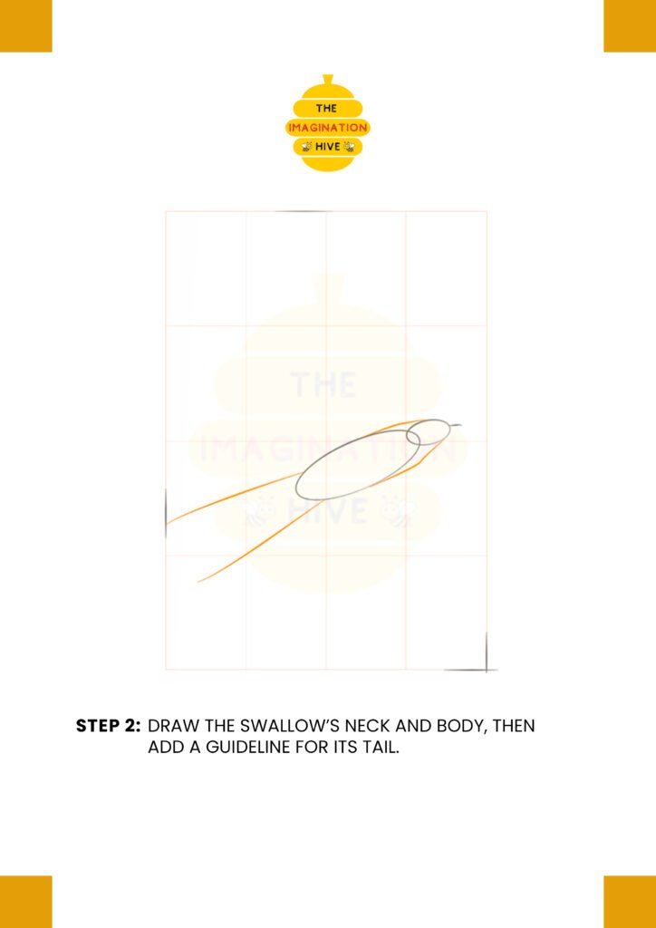 How to Draw Barn Swallow Step 2