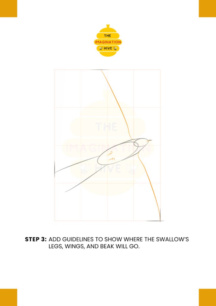 How to Draw Barn Swallow Step 3