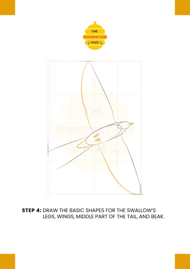 How to Draw Barn Swallow Step 4