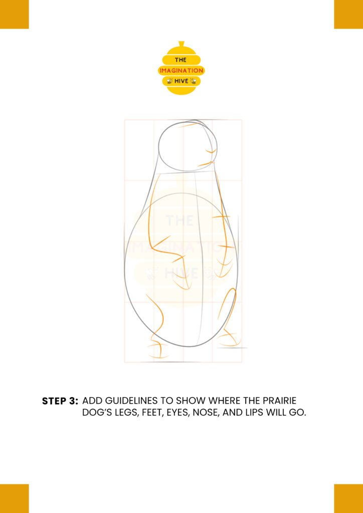 How to Draw a Prairie Dog Step 3
