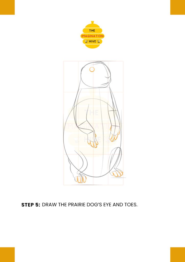 How to Draw a Prairie Dog Step 5